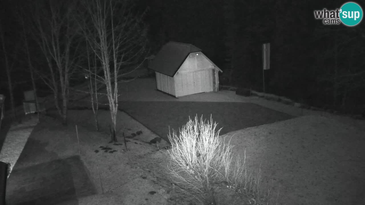 Webcam Lukanja – Pohorje houses a Water village