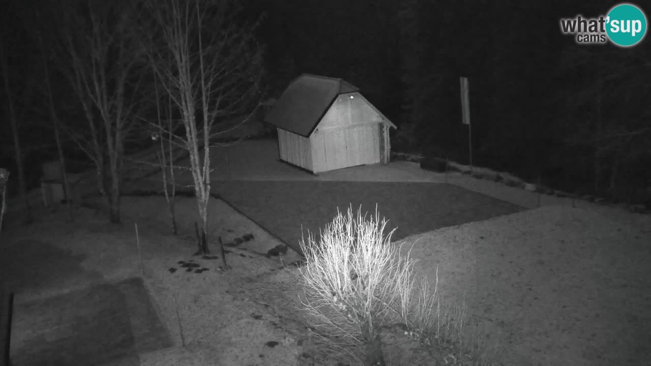 Webcam Lukanja – Water Village | Pohorje Houses