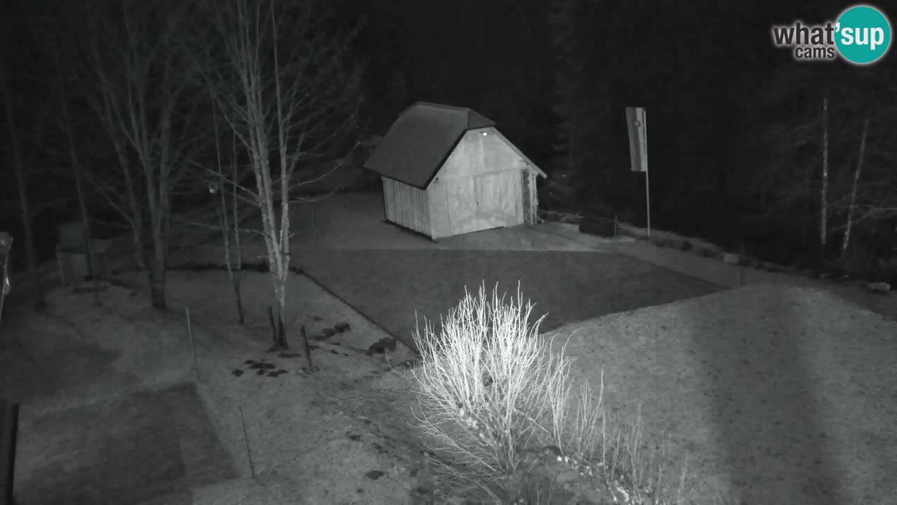 Webcam Lukanja – Water Village | Pohorje Houses