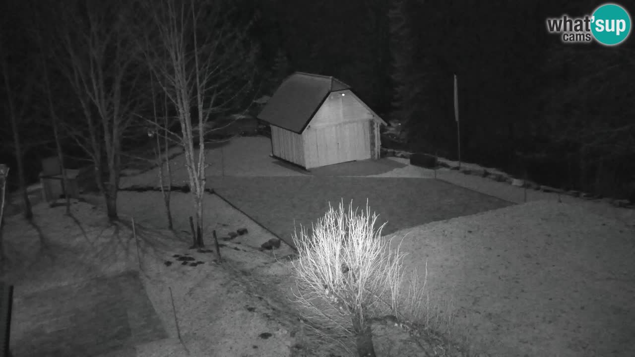 Webcam Lukanja – Water Village | Pohorje Houses