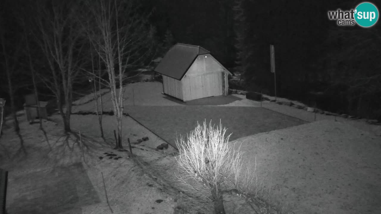 Spletna kamera Lukanja – Water Village | Pohorje Houses