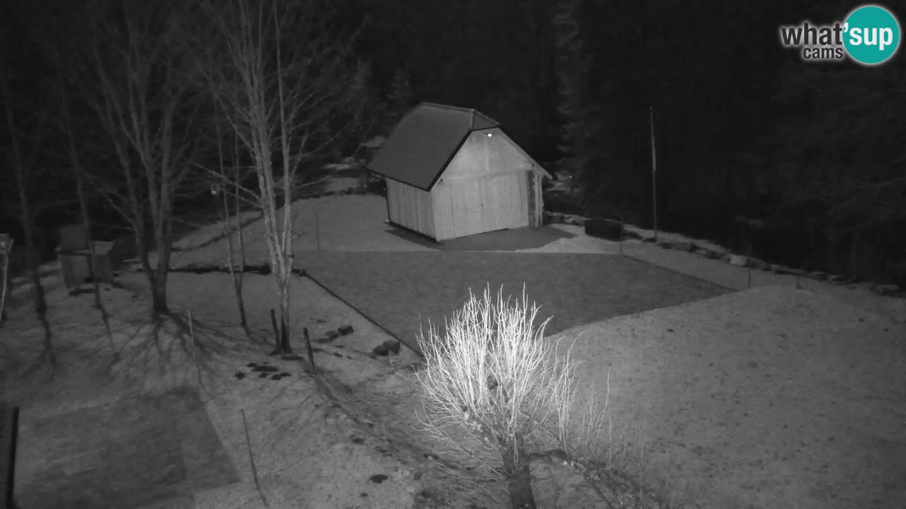 Webcam Lukanja – Water Village | Pohorje Houses