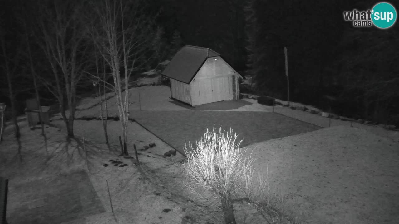 Webcam Lukanja – Water Village | Pohorje Houses