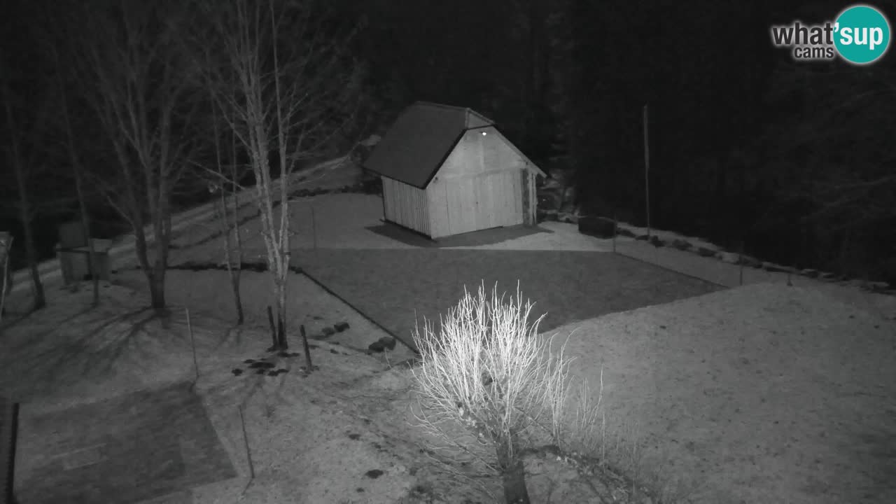 Webcam Lukanja – Water Village | Pohorje Houses