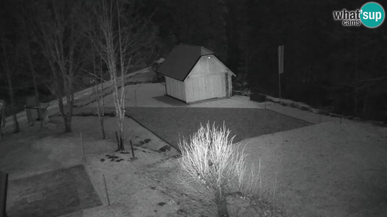 Spletna kamera Lukanja – Water Village | Pohorje Houses