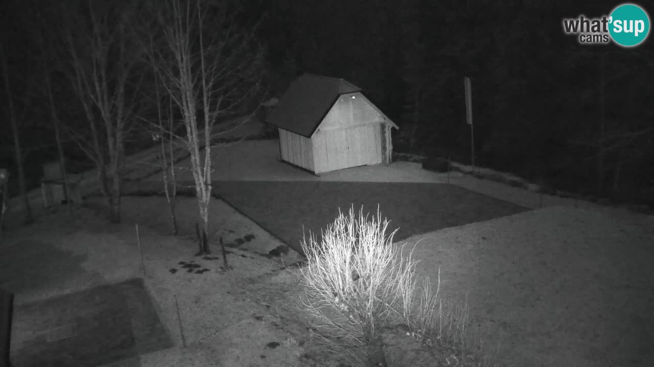 Webcam Lukanja – Pohorje houses a Water village