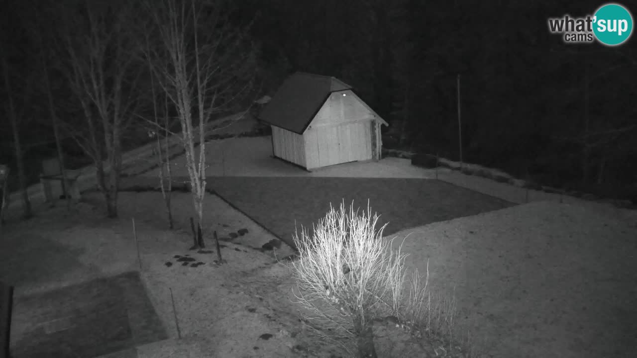 Webcam Lukanja – Water Village | Pohorje Houses