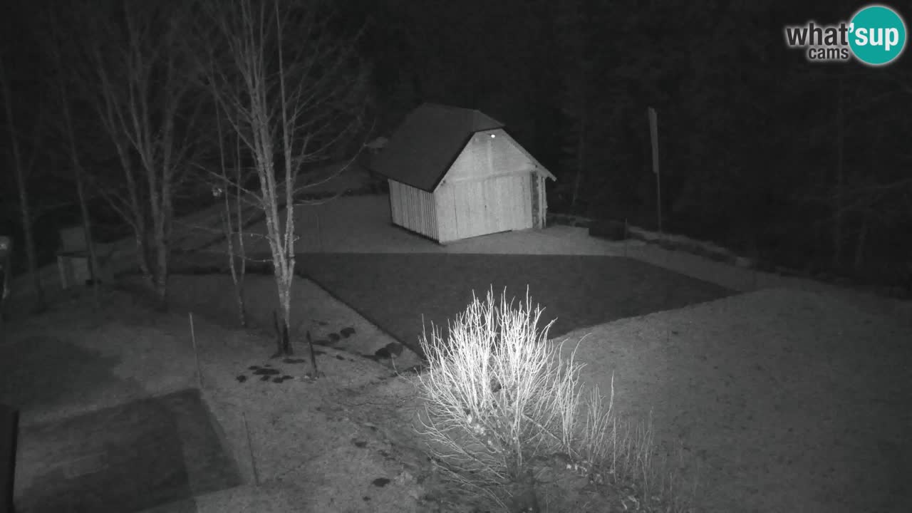 Spletna kamera Lukanja – Water Village | Pohorje Houses