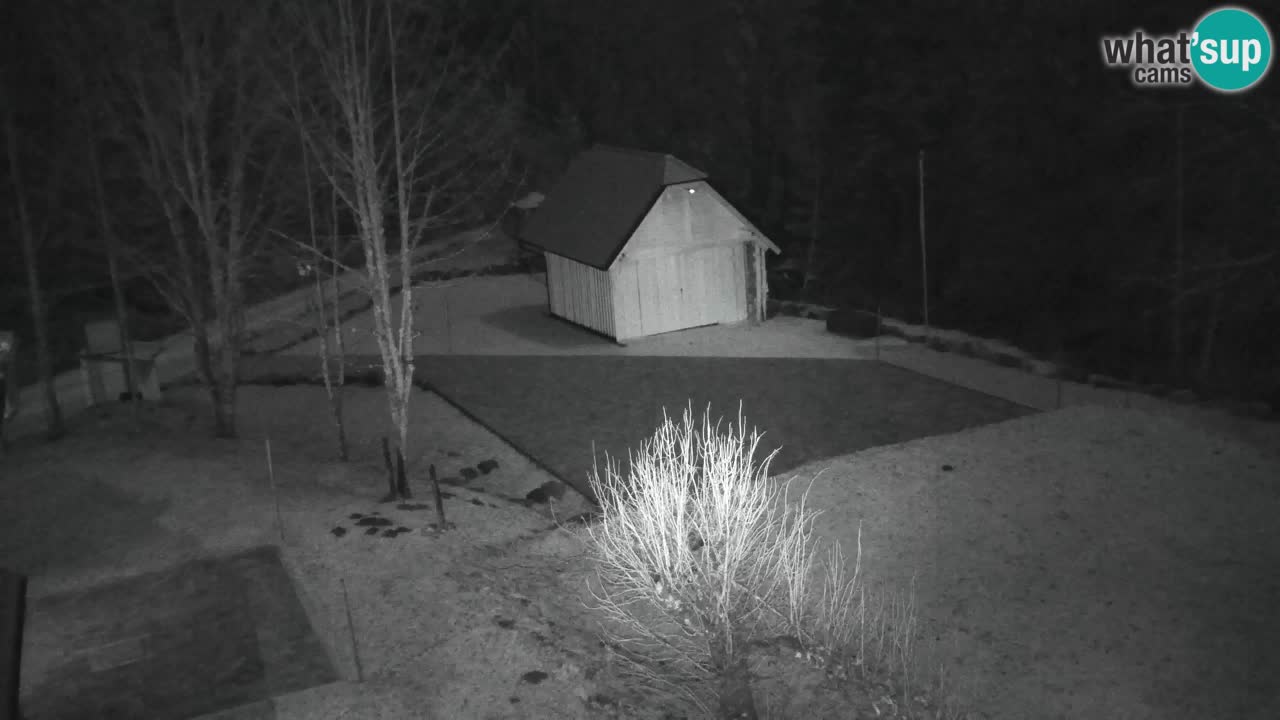 Webcam Lukanja – Water Village | Pohorje Houses