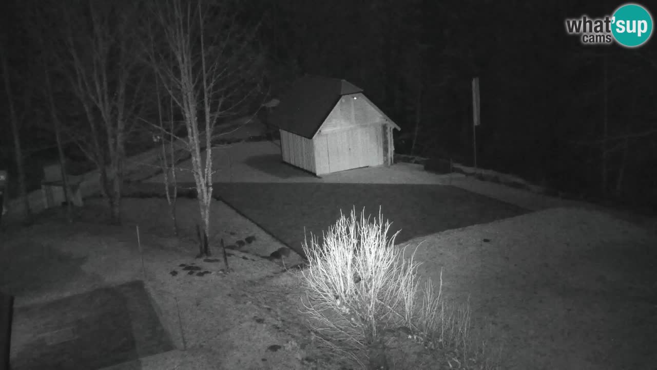 Webcam Lukanja – Water Village | Pohorje Houses