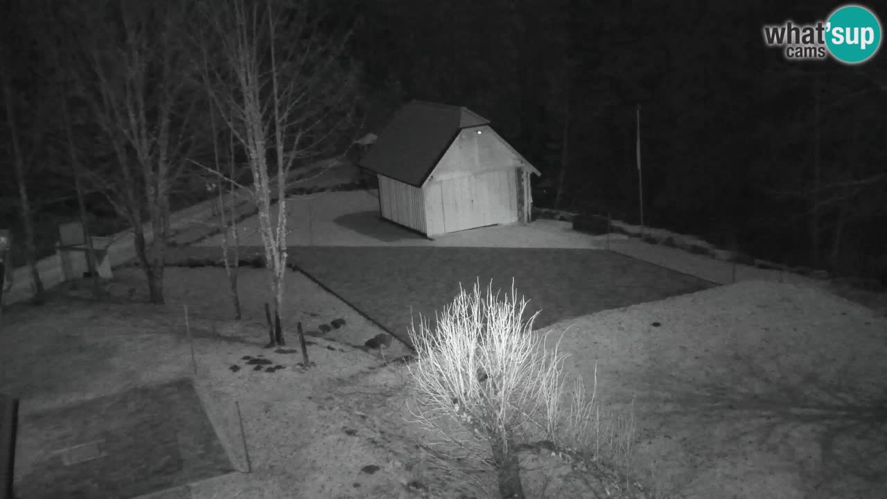 Spletna kamera Lukanja – Water Village | Pohorje Houses