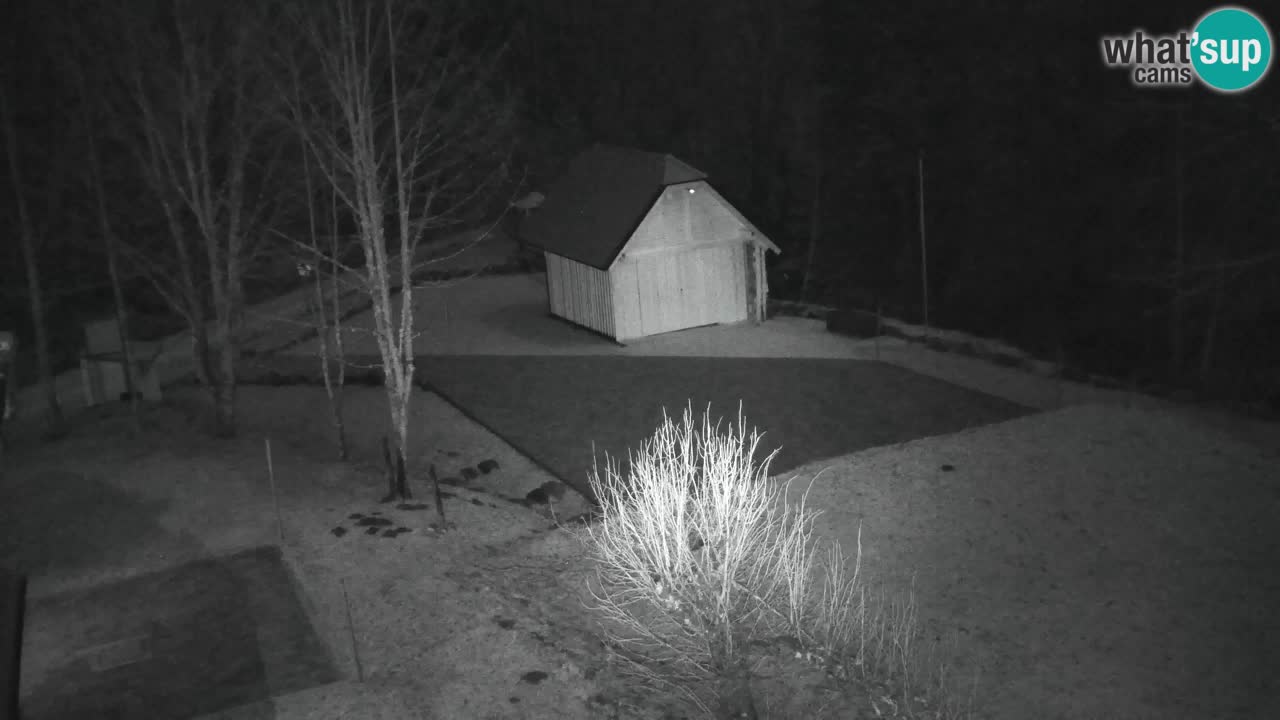 Webcam Lukanja – Pohorje houses a Water village