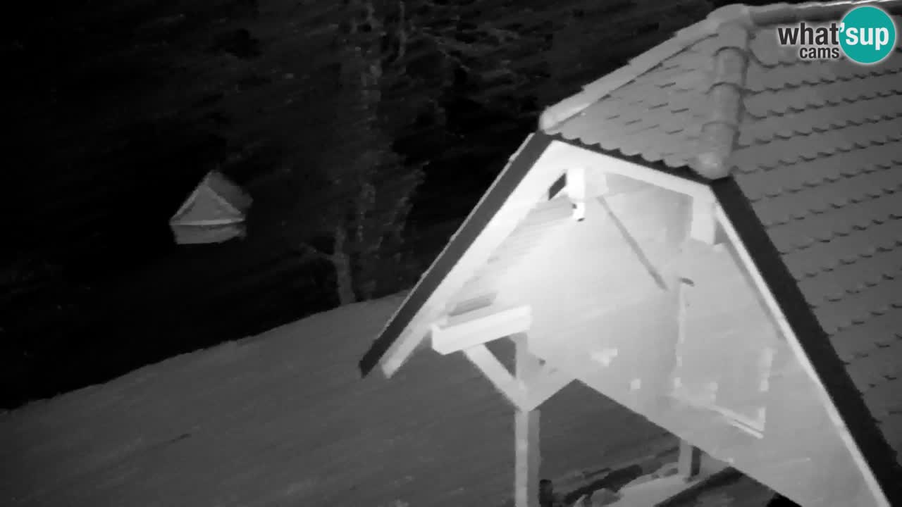 Webcam Lukanja – Water Village | Pohorje Houses