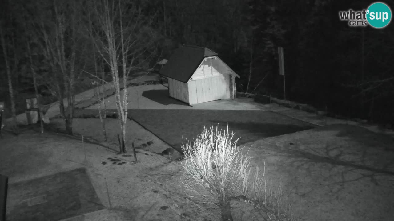 Webcam Lukanja – Pohorje houses a Water village