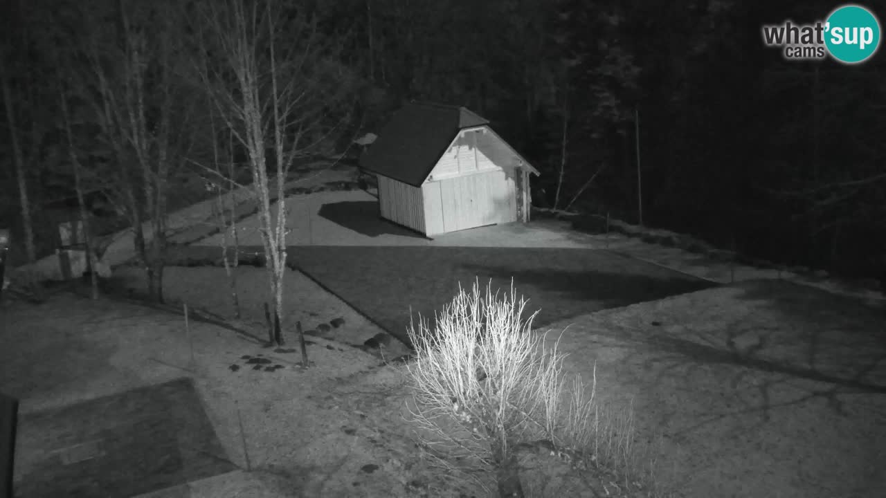 Webcam Lukanja – Water Village | Pohorje Houses