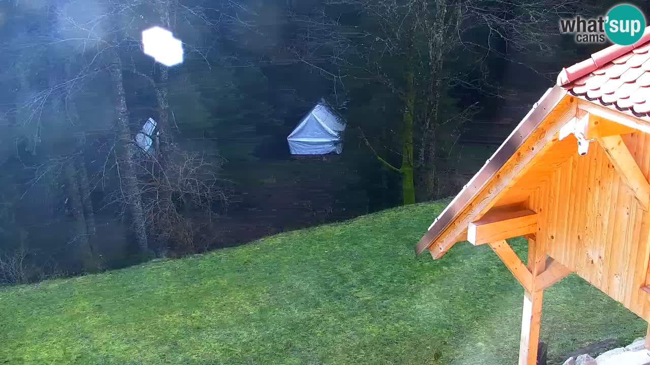 Webcam Lukanja – Pohorje houses a Water village