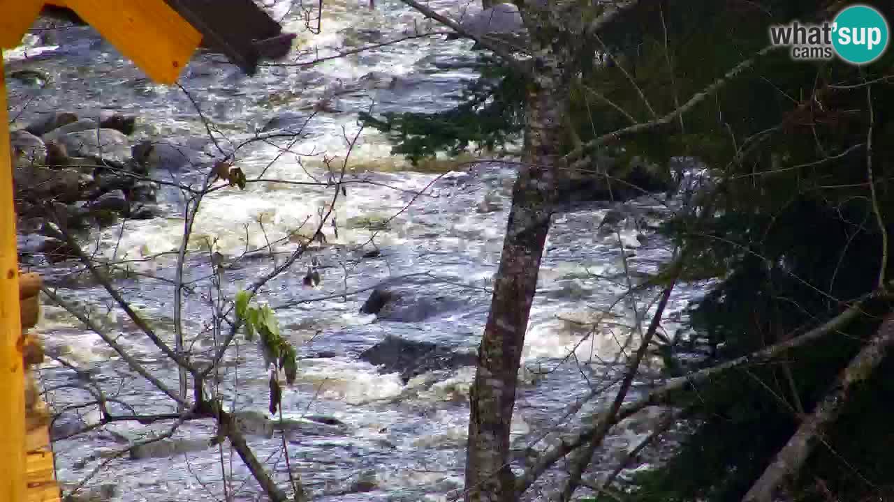 Webcam Lukanja – Water Village | Pohorje Houses