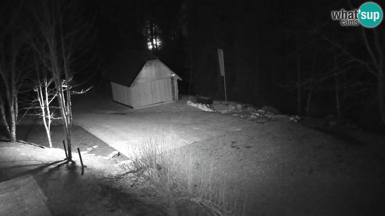 Webcam Lukanja – Water Village | Pohorje Houses