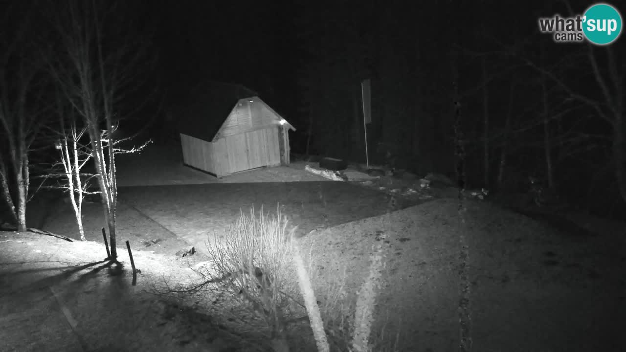 Webcam Lukanja – Pohorje houses a Water village