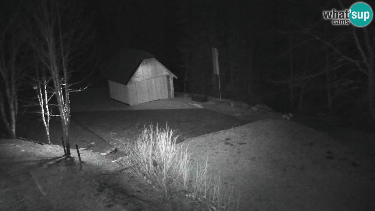 Webcam Lukanja – Pohorje houses a Water village