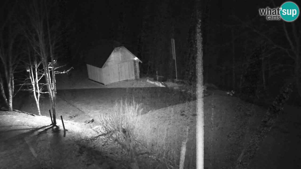 Webcam Lukanja – Water Village | Pohorje Houses