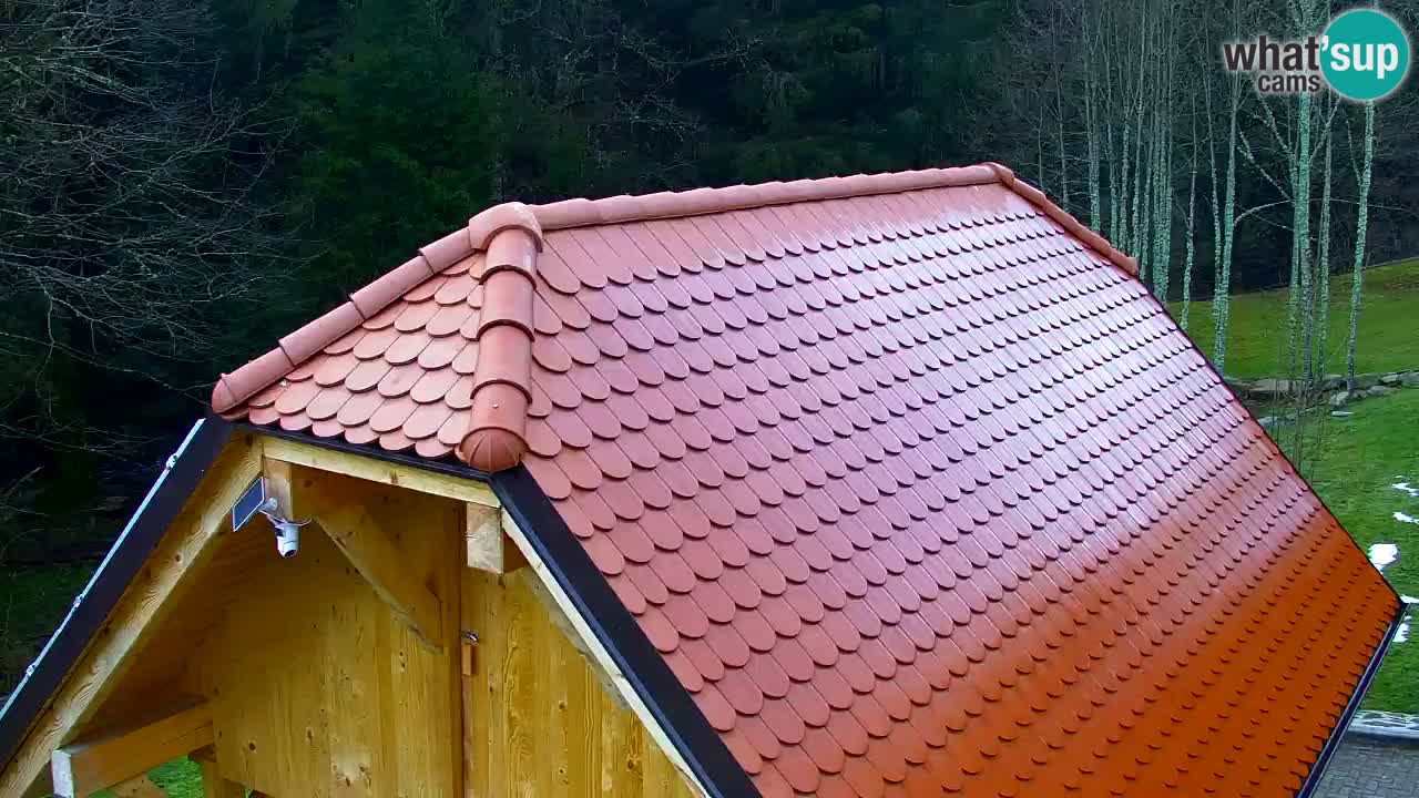 Webcam Lukanja – Water Village | Pohorje Houses