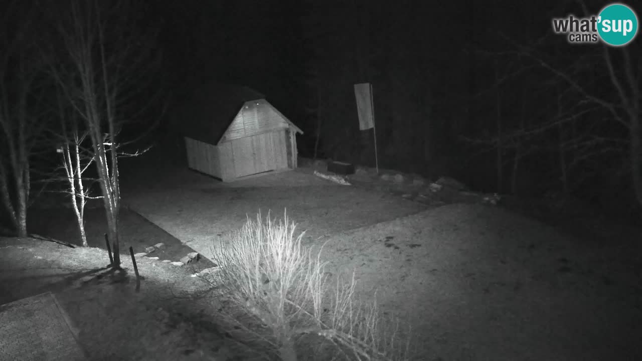 Webcam Lukanja – Pohorje houses a Water village