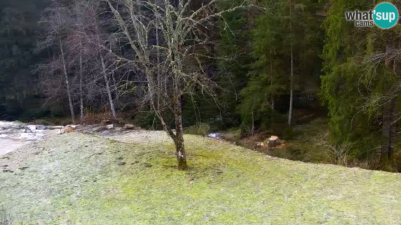 Webcam Lukanja – Water Village | Pohorje Houses