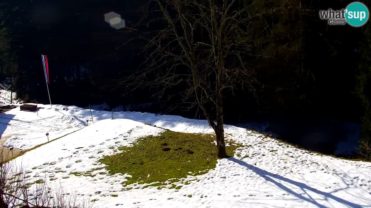 Webcam Lukanja – Pohorje houses a Water village