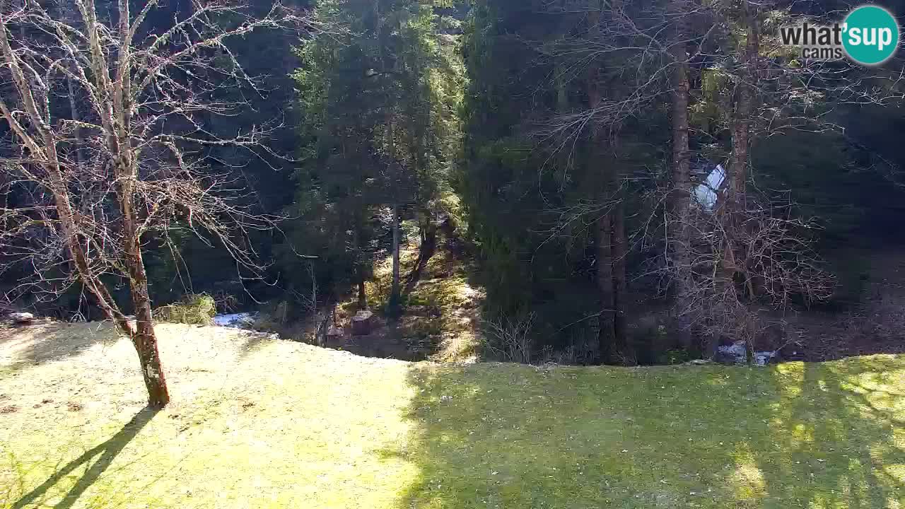 Spletna kamera Lukanja – Water Village | Pohorje Houses