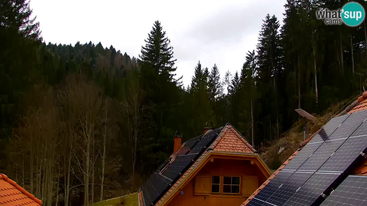 Webcam Lukanja – Pohorje houses a Water village