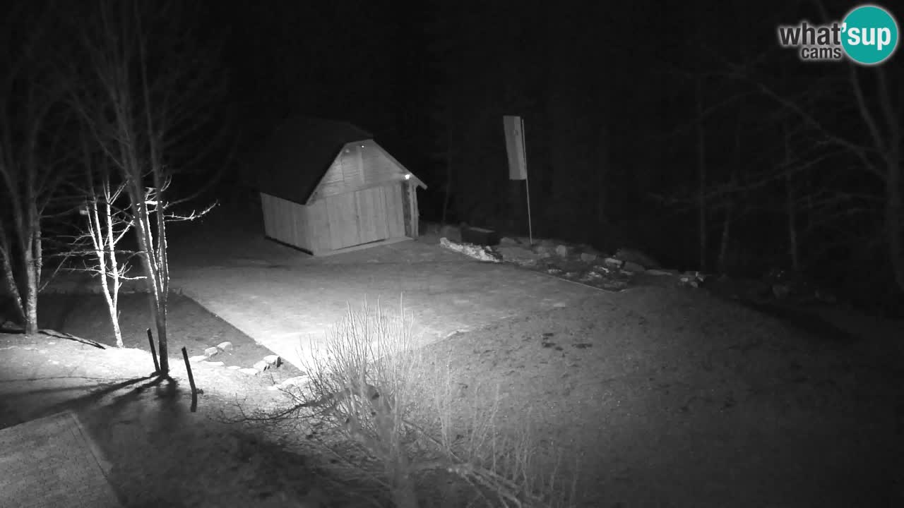 Webcam Lukanja – Pohorje houses a Water village