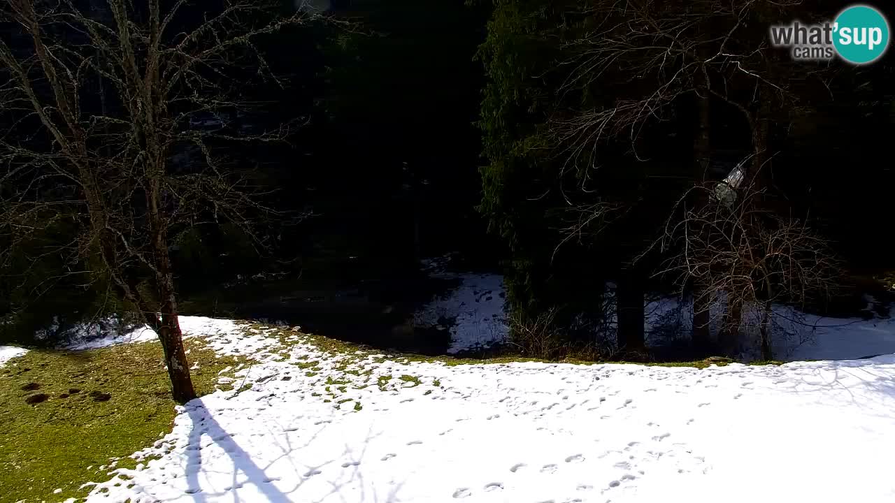 Spletna kamera Lukanja – Water Village | Pohorje Houses