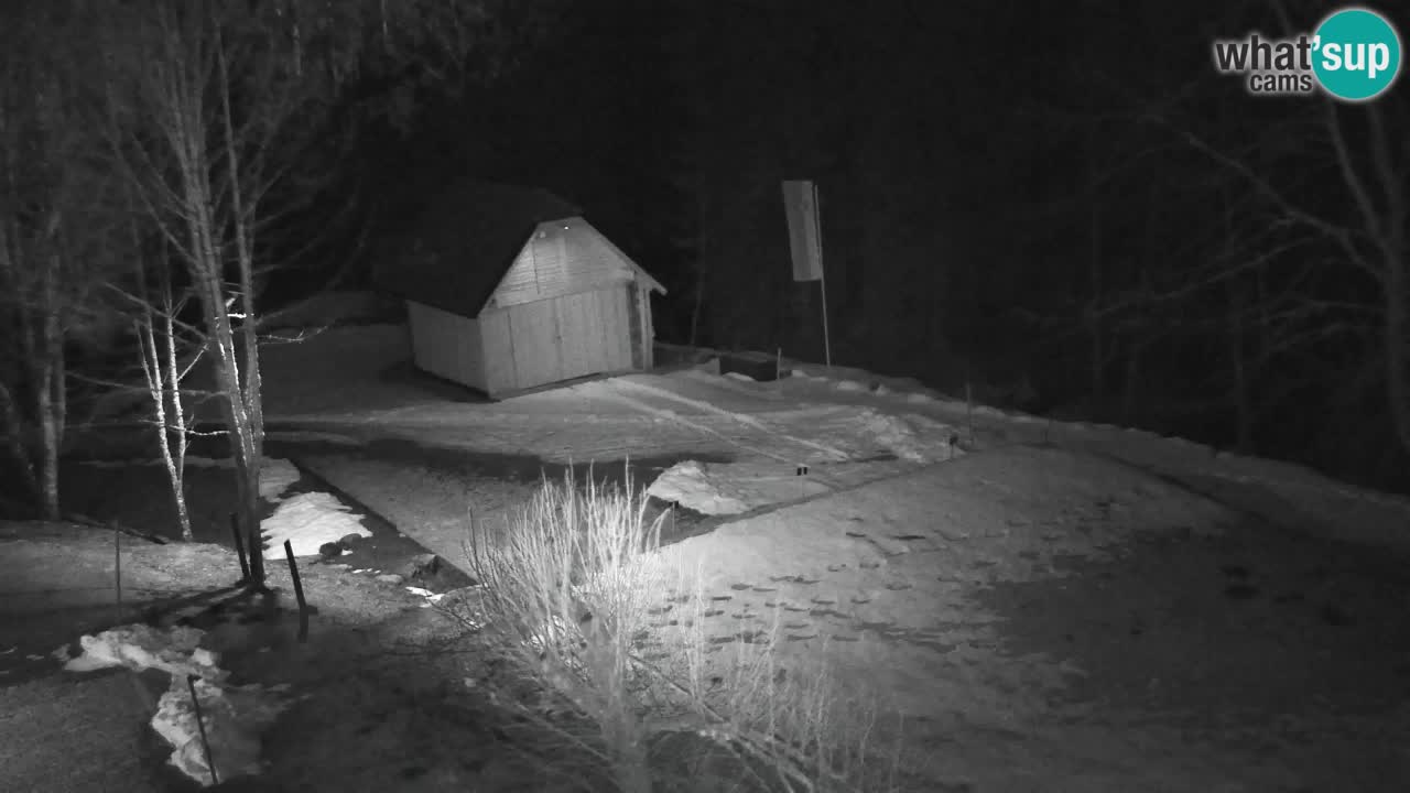 Spletna kamera Lukanja – Water Village | Pohorje Houses