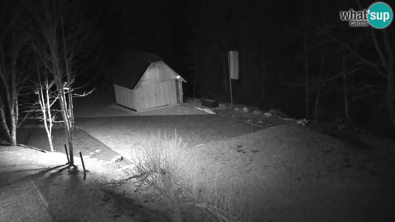 Webcam Lukanja – Water Village | Pohorje Houses