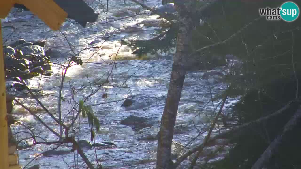 Webcam Lukanja – Pohorje houses a Water village