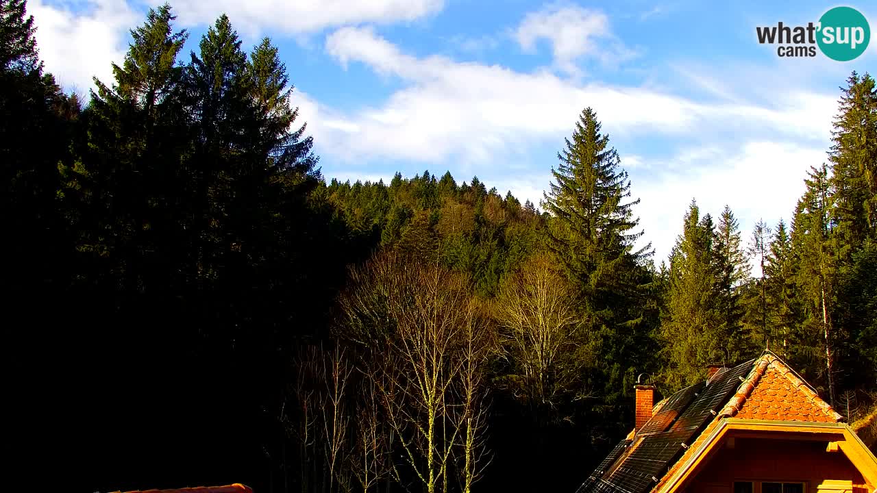 Spletna kamera Lukanja – Water Village | Pohorje Houses