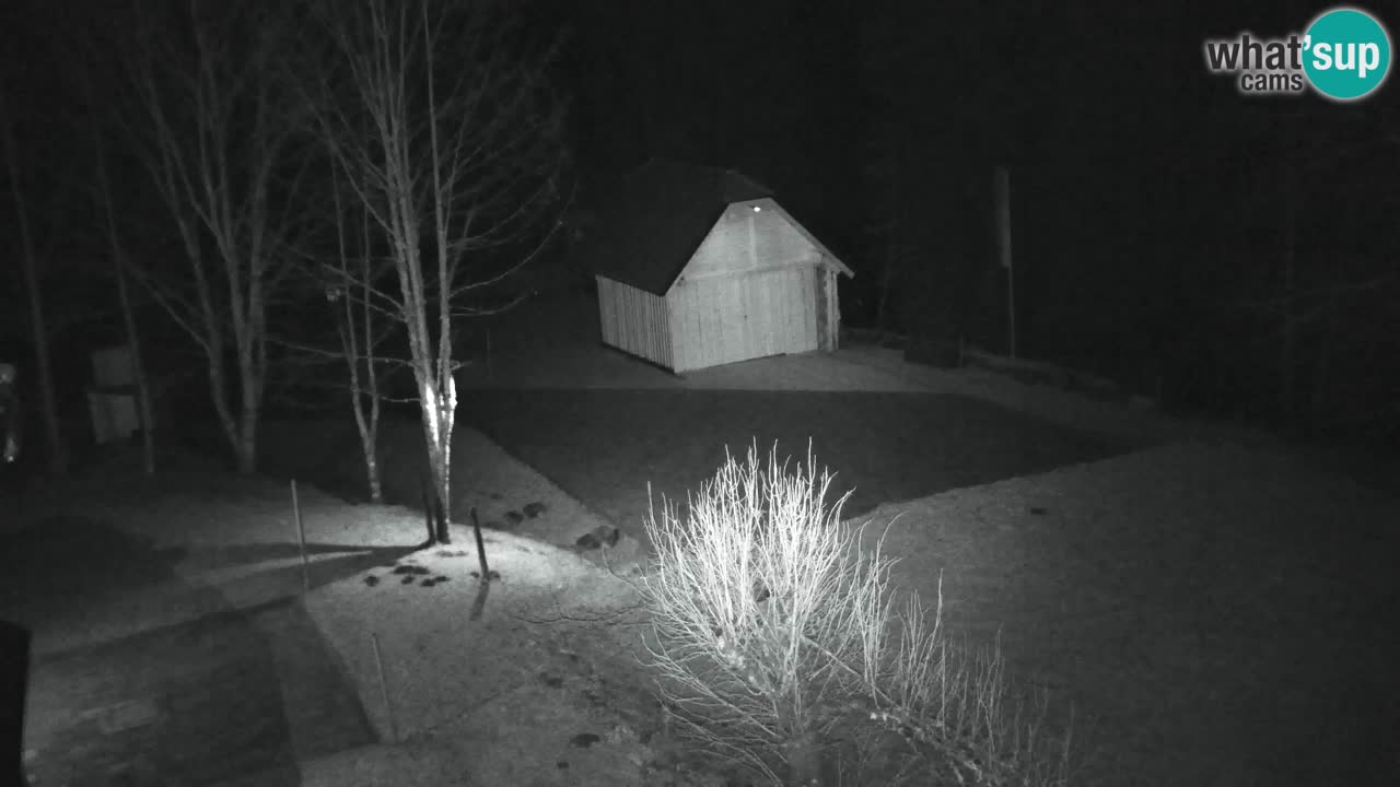 Webcam Lukanja – Pohorje houses a Water village