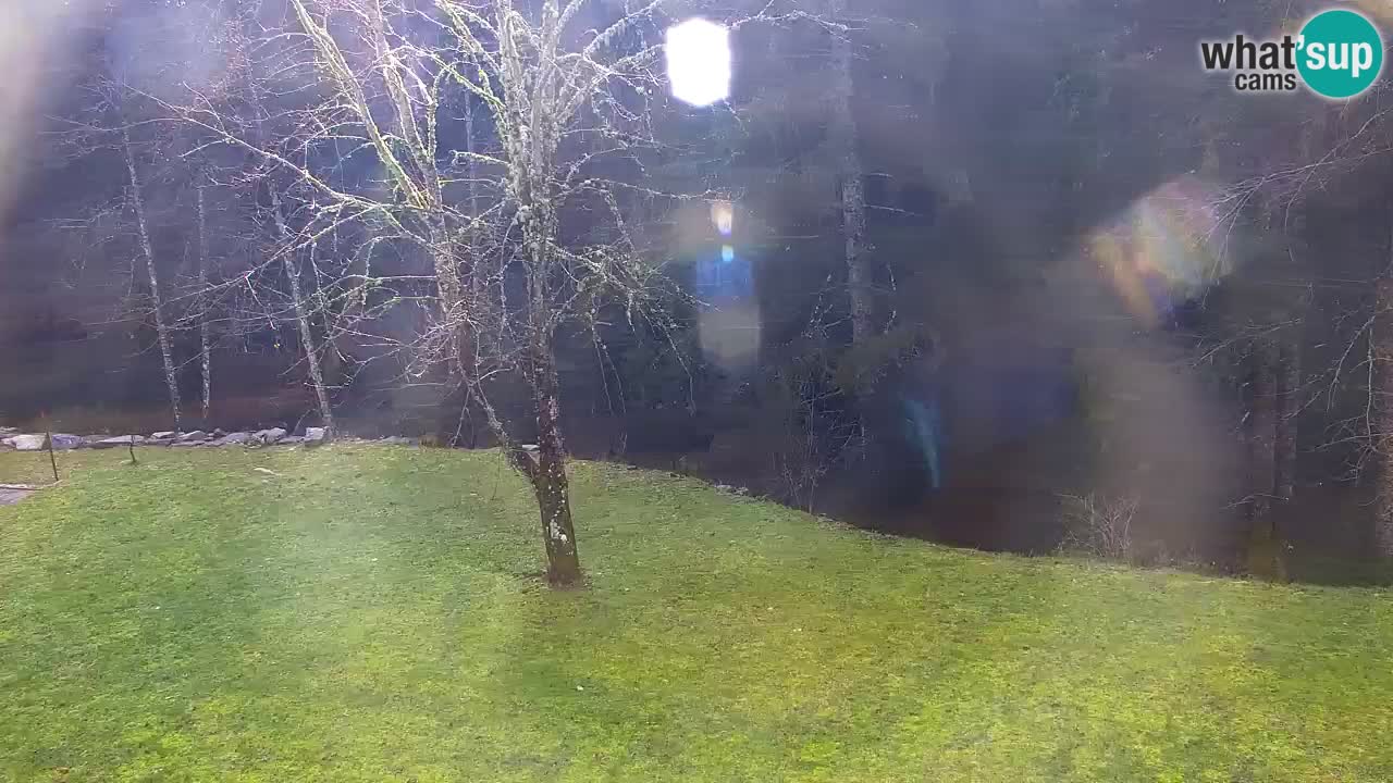 Webcam Lukanja – Pohorje houses a Water village