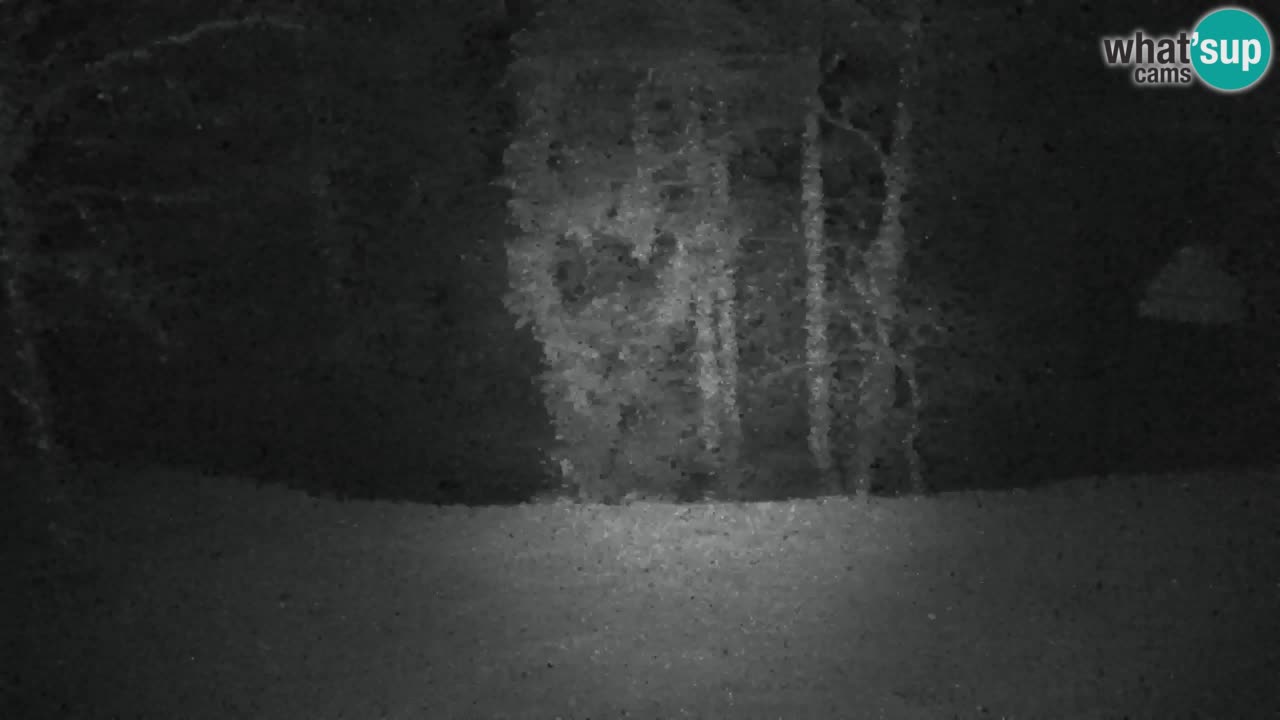 Webcam Lukanja – Water Village | Pohorje Houses