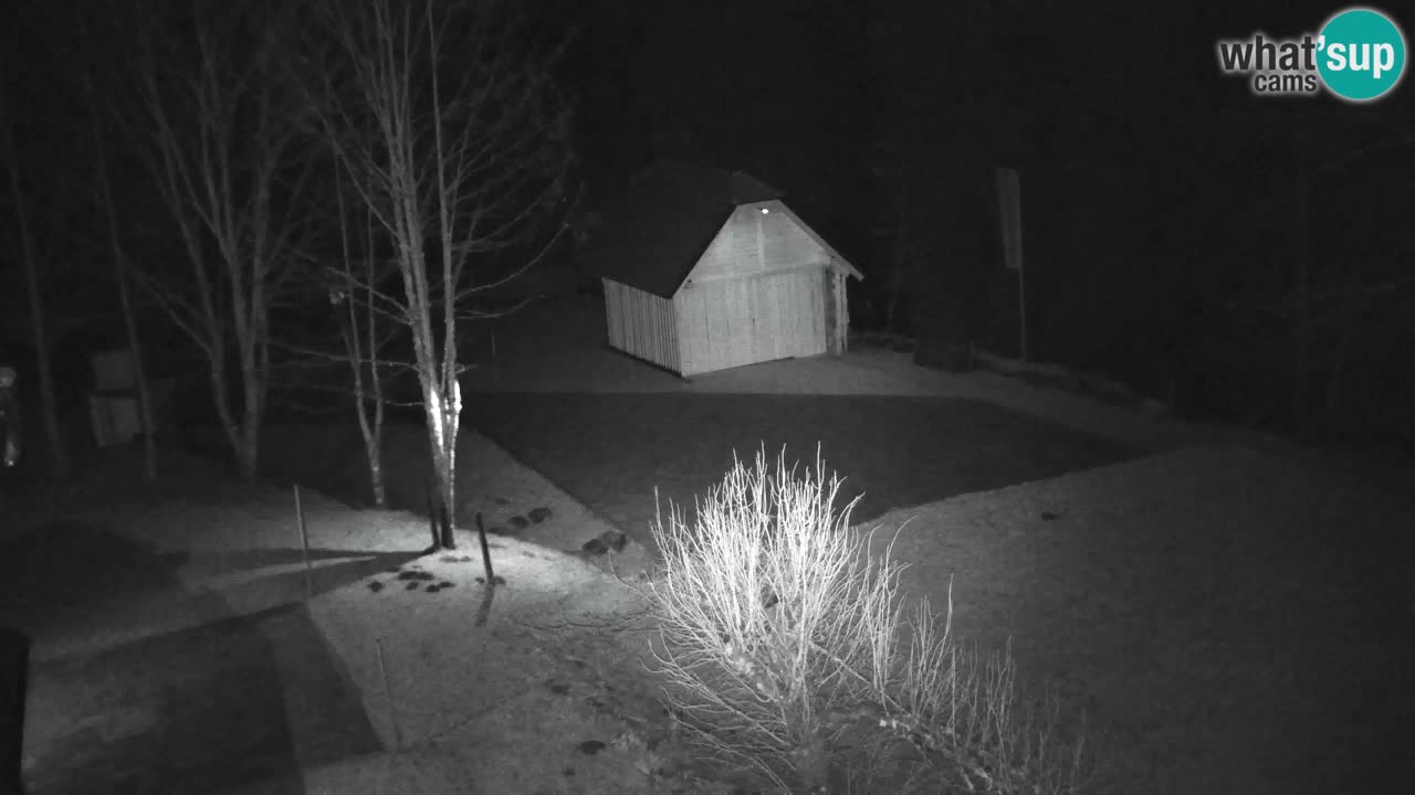 Webcam Lukanja – Pohorje houses a Water village