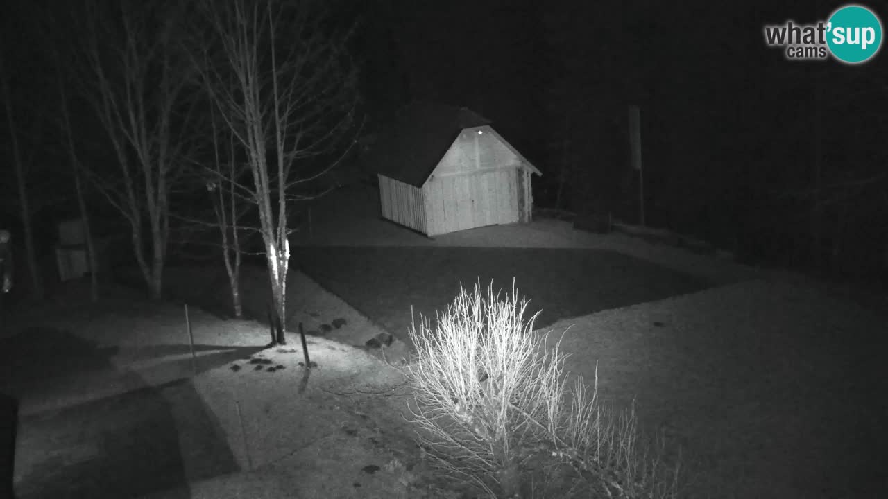 Webcam Lukanja – Water Village | Pohorje Houses