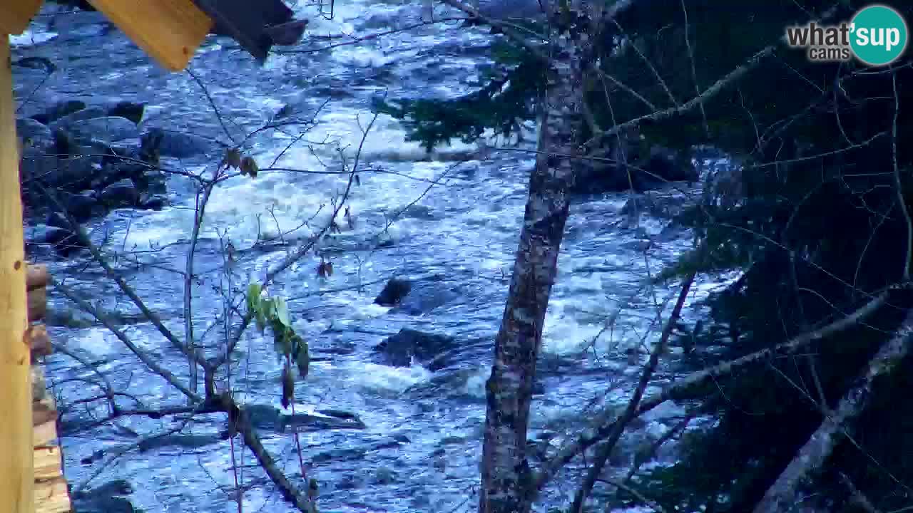 Webcam Lukanja – Water Village | Pohorje Houses