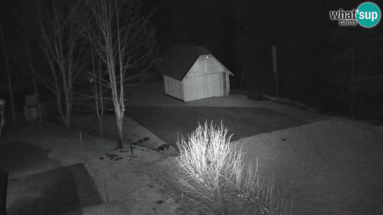 Webcam Lukanja – Pohorje houses a Water village