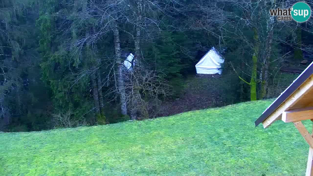 Webcam Lukanja – Water Village | Pohorje Houses