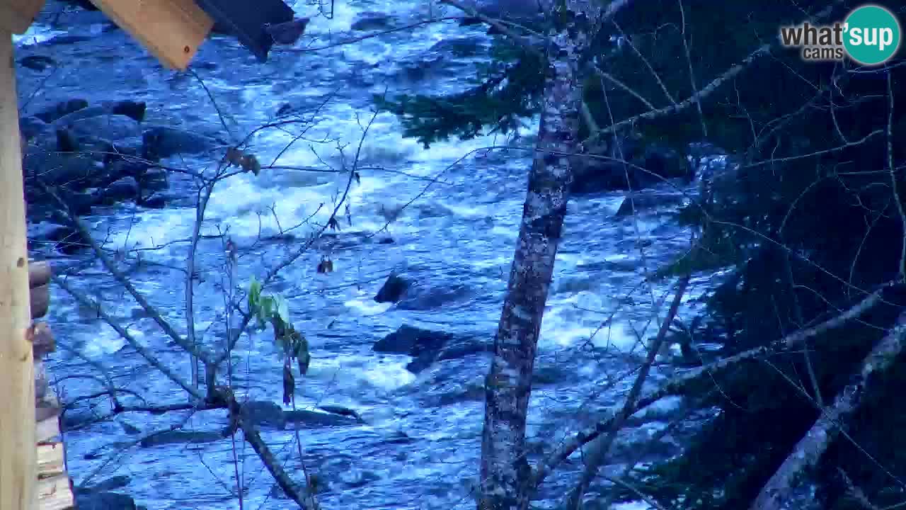 Webcam Lukanja – Pohorje houses a Water village