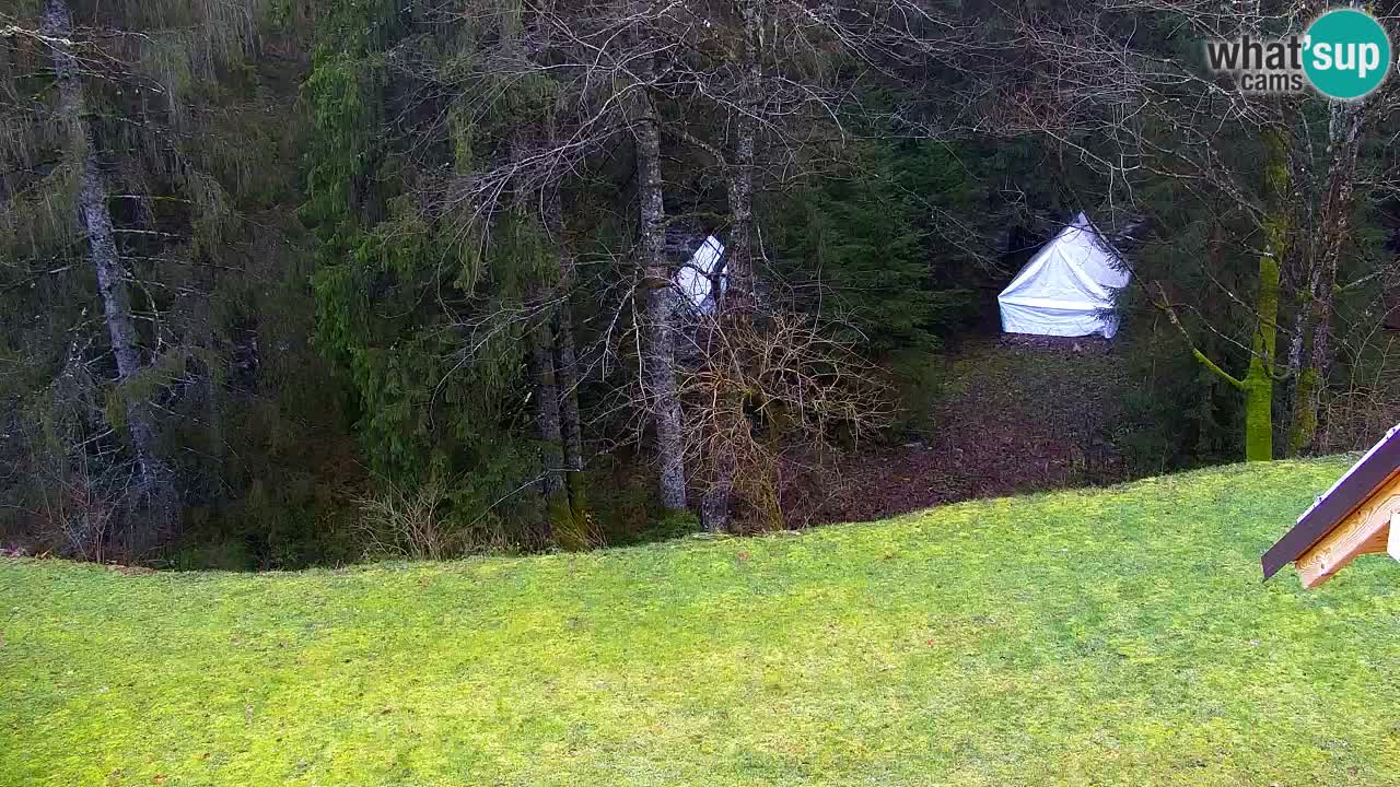 Webcam Lukanja – Water Village | Pohorje Houses