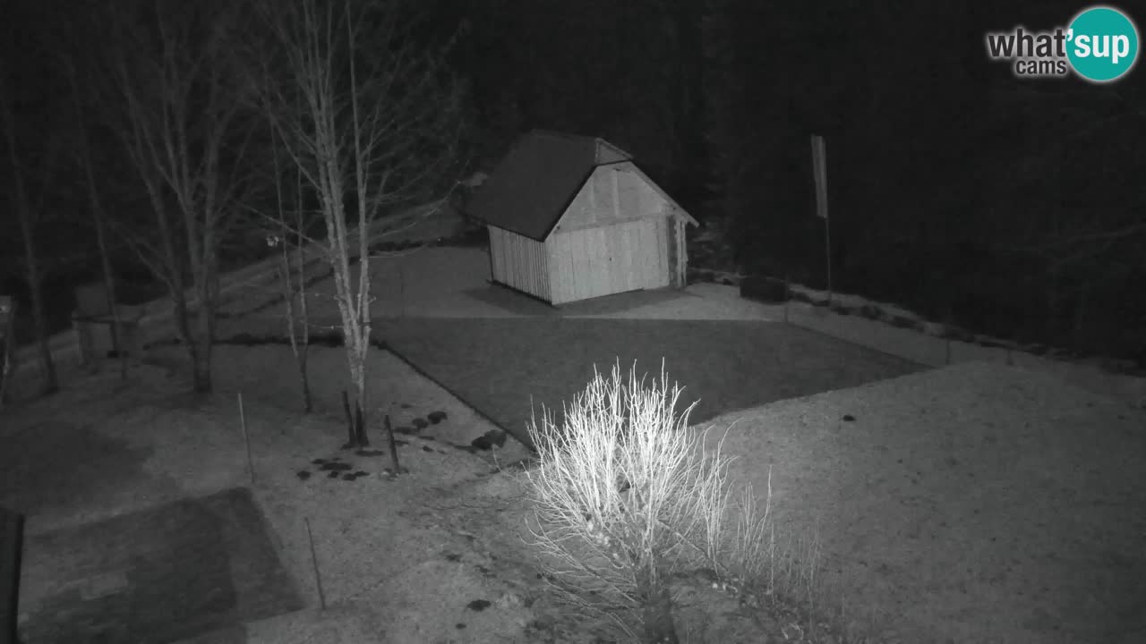 Webcam Lukanja – Water Village | Pohorje Houses