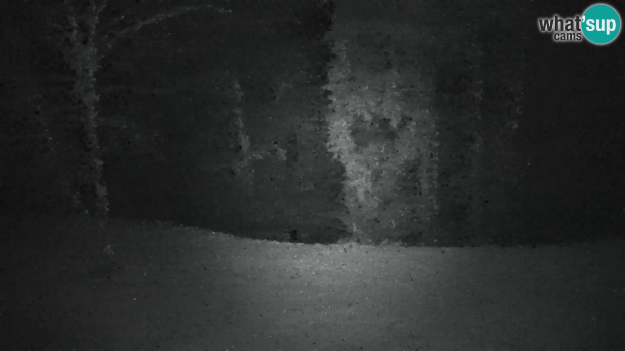 Webcam Lukanja – Water Village | Pohorje Houses