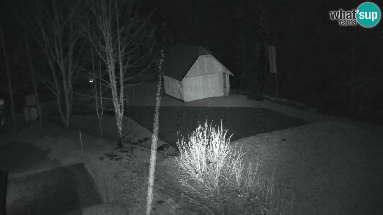 Webcam Lukanja – Pohorje houses a Water village